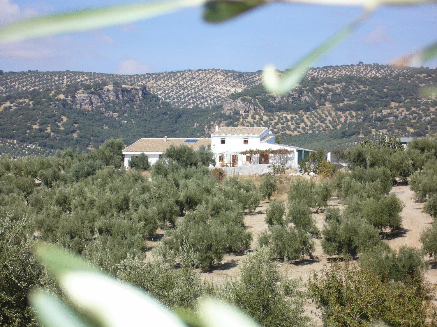B&B Lasnavillasmm Montefrio Εξωτερικό φωτογραφία
